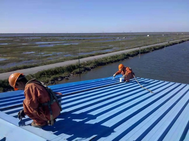 老河口钢结构屋面漏水原因